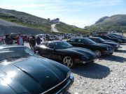 jaguar alle tre cime di lavaredo (11/26)